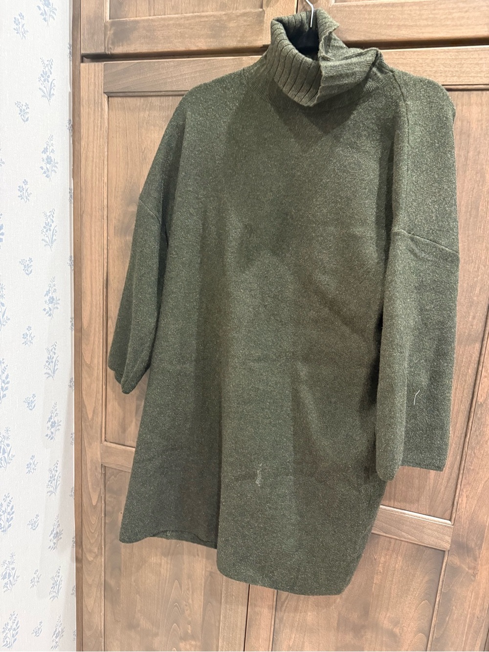 Tuckernuck Olive Green Turtleneck Sweater Dress